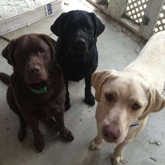 Meet your Posher, Lori - Picture 1 of 1